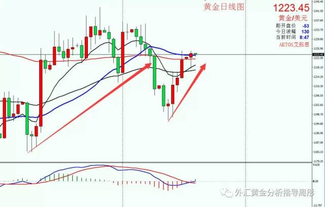 最新外汇黄金实时行情分析与走势预测