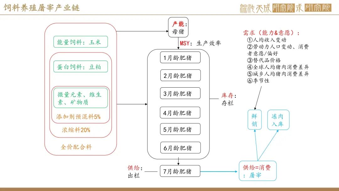 新澳资料免费资料大全一,高效运营策略执行_内置集71.256