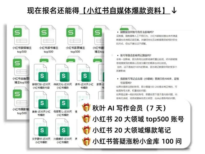 正版资料免费资料大全十点半,提高生产效率_专注款73.476