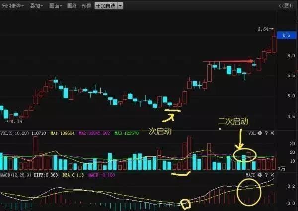 最准一码一肖100%精准老钱庄,高效指导解答现象_简便款50.56