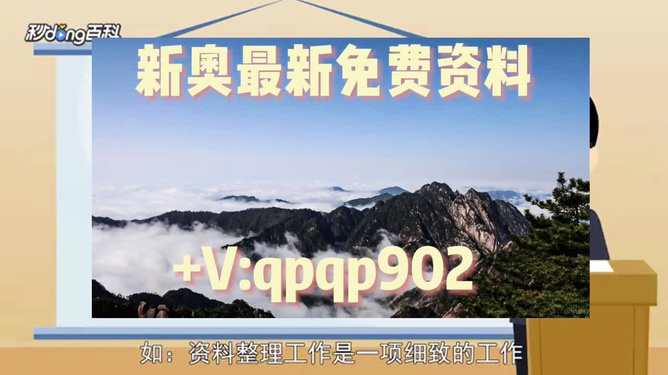 2024年今期2024新奥正版资料免费提供,运营策略解析落实_2D款42.282