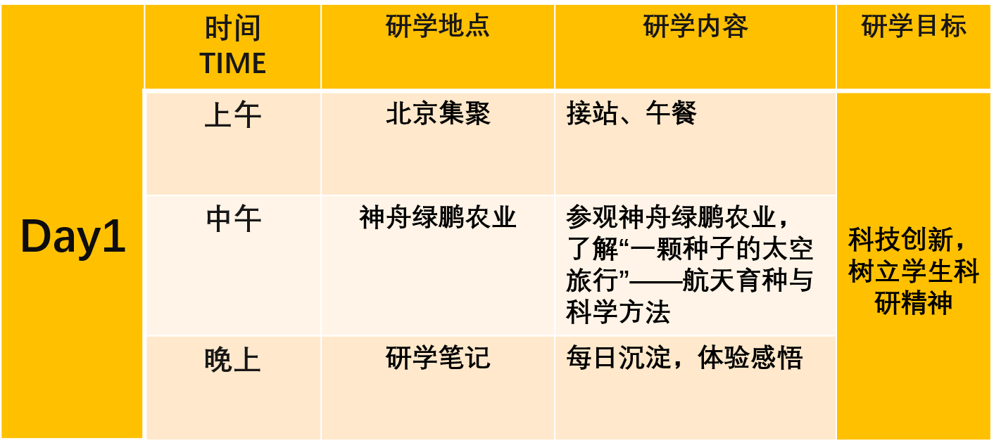 2024新澳历史开奖记录香港开,创新思维解答解释计划_视觉版94.013