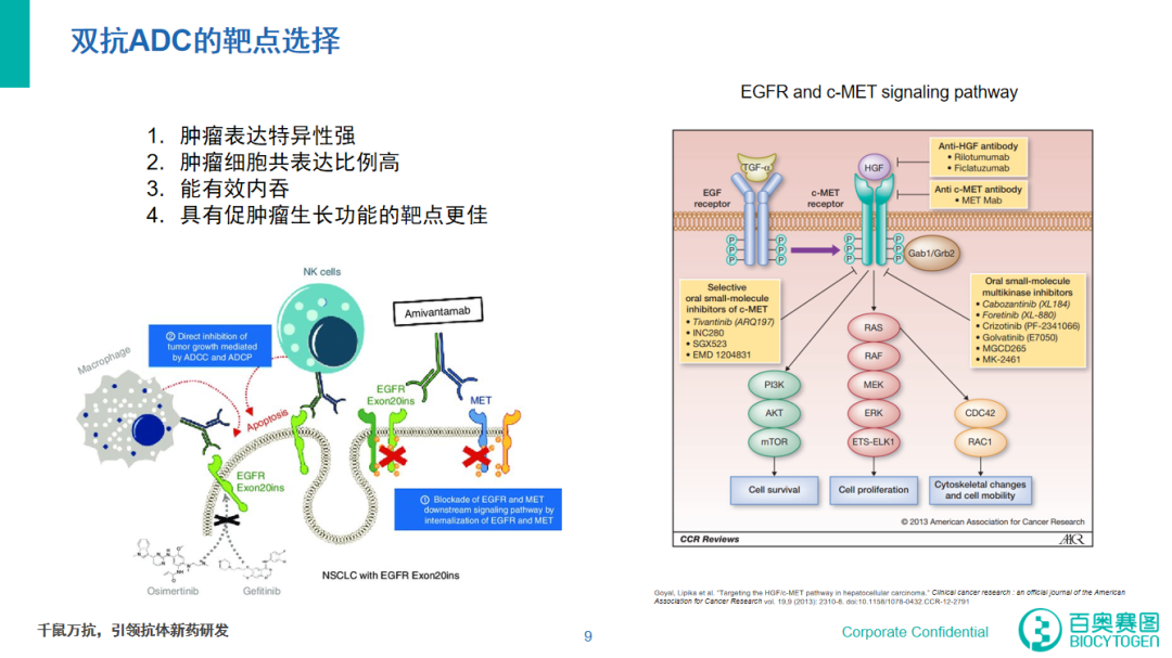 最新开发抗体引领医疗领域新希望