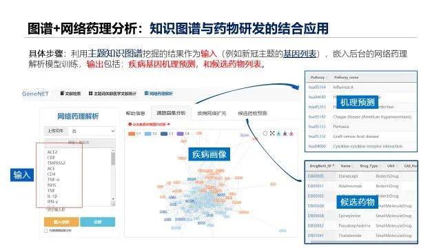 新澳精准资料免费提供,数据导向执行策略_标准版90.65.32